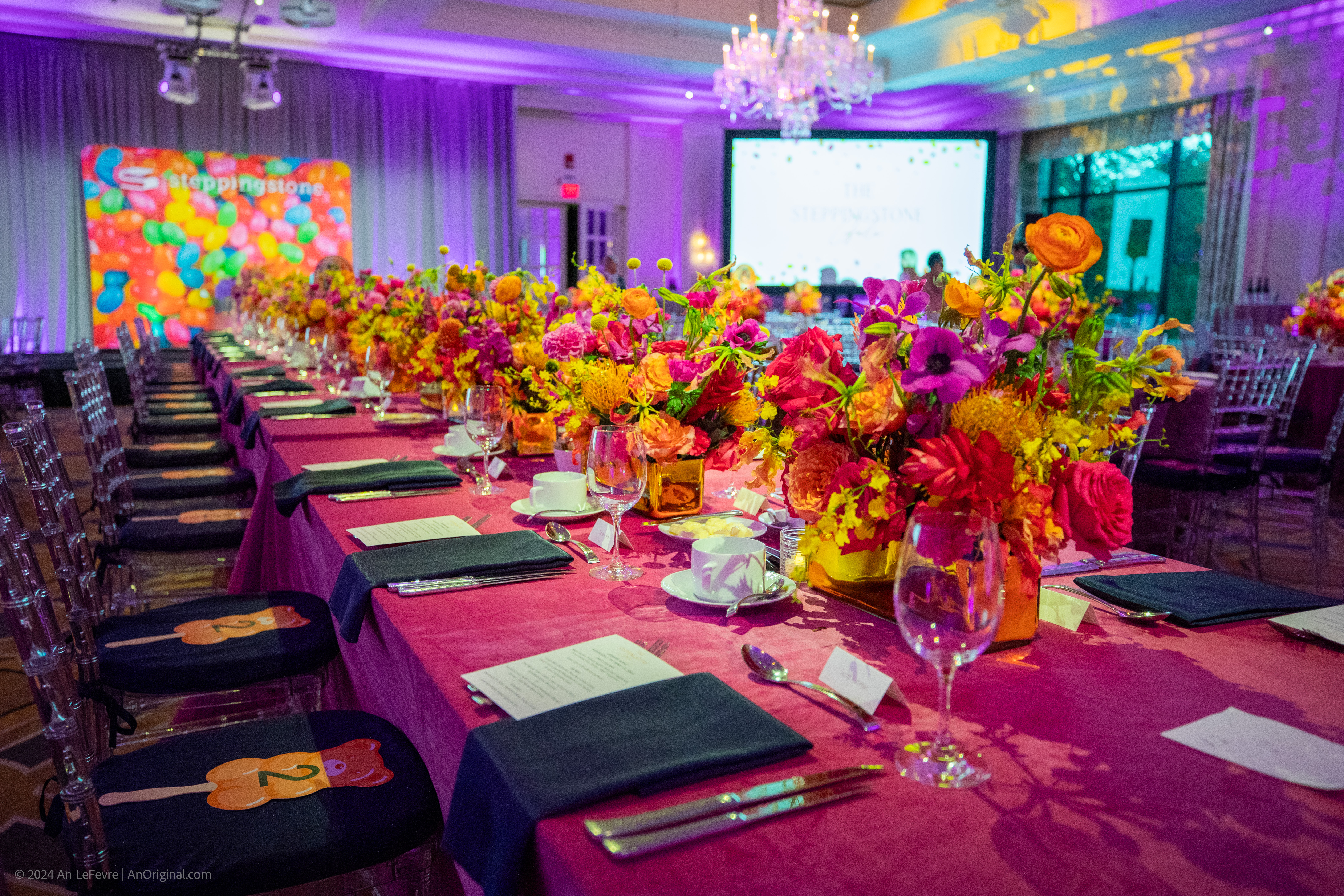 SteppingstoneGala2024-1219 (1)